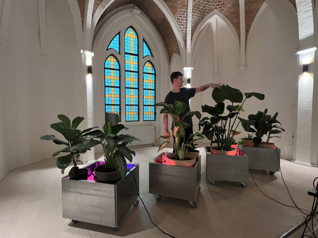 Grønne planter i centrum i anden del af lydworkshop